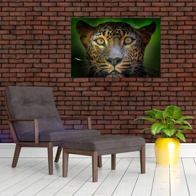 Obraz - Portrét leoparda, Sri Lanka (90x60 cm)