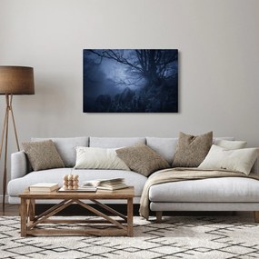 Obraz temného lesa (90x60 cm)