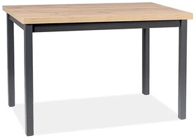 Jedálenský stôl Adam 120 cm dub artisan/čierny
