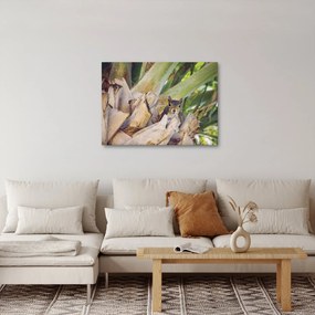 Obraz veveričky na strome (70x50 cm)