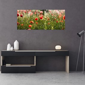 Obraz vlčích makov (120x50 cm)