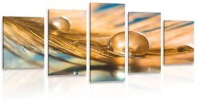 5-dielny obraz kvapka vody na zlatom pierku - 200x100