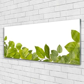 Obraz plexi Listy príroda rastlina 125x50 cm