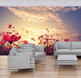 Fototapeta - Rozkvitnutá lúka (147x102 cm)