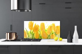 Sklenený obklad Do kuchyne Tulipány kvety rastlina 125x50 cm