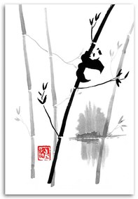 Gario Obraz na plátne Panda na bambuse - Péchane Rozmery: 80 x 120 cm