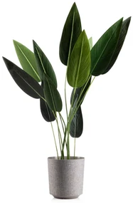 PLASTOVÝ KVETINÁČ ALOE TX 25,5X27 CM BÉŽOVÁ
