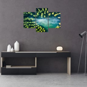 Obraz - Hmlou zahalený les (90x60 cm)