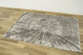 Koberec Versage 2642A sivý