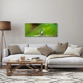 Obraz jašteričky (120x50 cm)