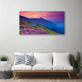 Obraz na plátne Hory lúka kvety príroda 140x70 cm