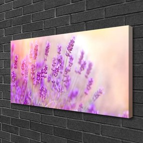 Obraz Canvas Levanduľovej pole slnko kvety 140x70 cm