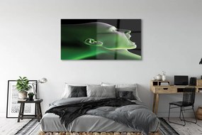 Obraz plexi V čele muž zelenú 140x70 cm