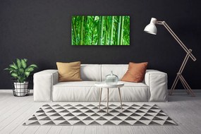 Obraz na plátne Bambus stonka rastlina 140x70 cm