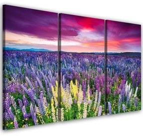 Obraz na plátně třídílný Levandulového pole Příroda - 60x40 cm