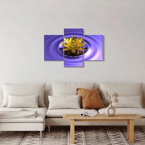 Obraz - Lekno (90x60 cm)
