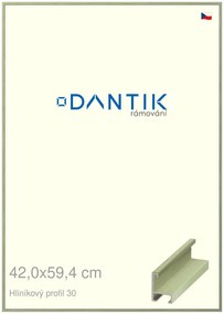 DANTIK rám na obraz 42x59,4 | ALU Dýha barevná zelená pastel (Plexi Čiré)