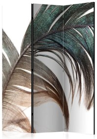 Artgeist Paraván - Beautiful Feather [Room Dividers]