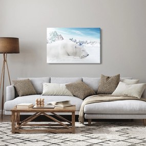 Obraz - Ľadový medveď (90x60 cm)