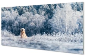 Sklenený obraz Zime salašnícky pes 120x60 cm