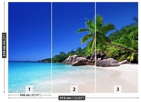 Fototapeta Vliesová Seychelská pláž 208x146 cm