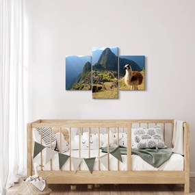 Obrázok - Lama a Machu Picchu (90x60 cm)