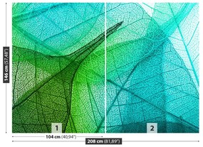 Fototapeta Vliesová Listy textúry 104x70 cm