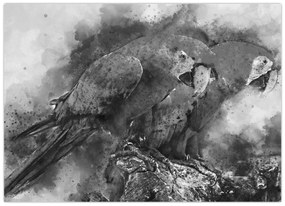 Obraz - Akvareloví papagáje (70x50 cm)