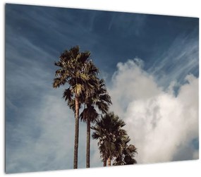 Sklenený obraz - Palmová dráma (70x50 cm)
