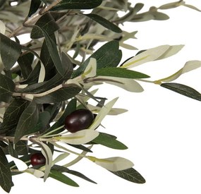 Dekoračný strom olivovník s olivami Olea Tree - 170*150*320 cm