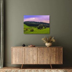 Sklenený obraz lúky (70x50 cm)