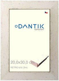 DANTIK rám na obraz 20x30 | RETRO bílá (Sklo Čiré)