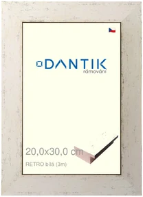 DANTIK rám na obraz 20x30 | RETRO bílá (Sklo Čiré)