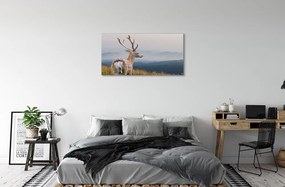 Obraz na plátne jeleň hory 100x50 cm