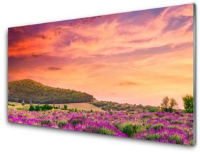 Nástenný panel  Lúka kvety príroda 120x60 cm