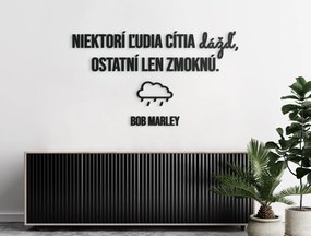 drevko Drevený citát Niektorí ľudia cítia dážď Rozmer obrazu: 49 x 85,5 cm, Farba dekorácie: Čierna