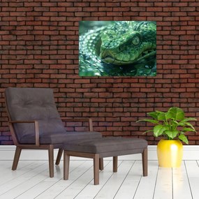 Sklenený obraz - Portrét hada (70x50 cm)