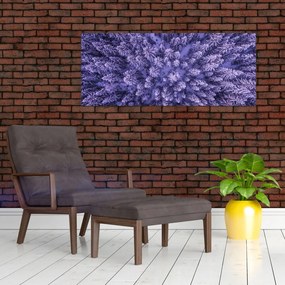 Obraz zasnežených stromov (120x50 cm)