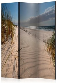 Artgeist Paraván - Beach in Mrzezyno [Room Dividers]