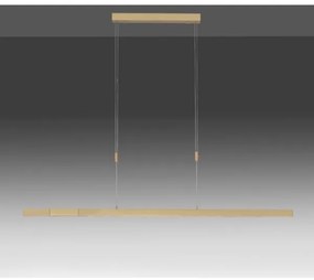 Paul Neuhaus 2568-60 - LED Stmievateľný luster na lanku ADRIANA LED/14W/230V mosadz