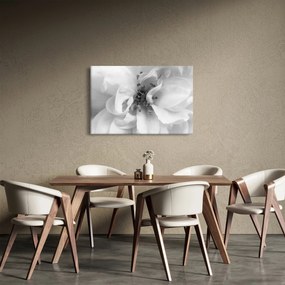 Obraz - Kvet, čiernobiela (90x60 cm)