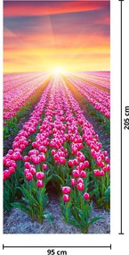 Fototapeta na dvere - Pole tulipánov so slnkom (95x205cm)