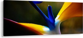 Obraz - Exotický kvet (120x50 cm)