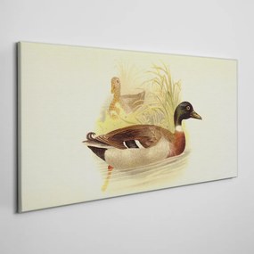 Obraz canvas abstrakcie zvierat