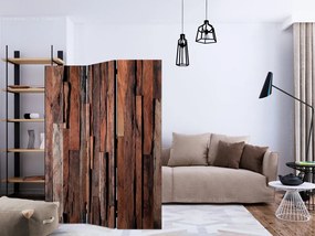 Artgeist Paraván - Honey Boards [Room Dividers]