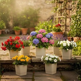 Plastový květináč s podmiskou Cubi 19x19 cm - výber z 6 prevedení