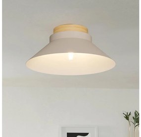 Eglo 900736 - Stropné svietidlo MOHARRAS 1xE27/40W/230V