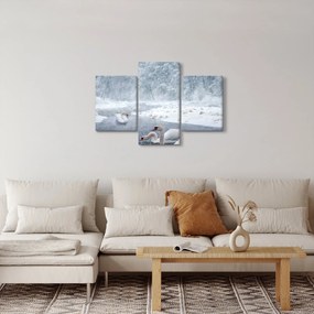 Obraz labutí (90x60 cm)