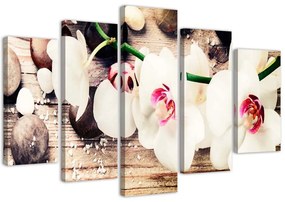 Gario Obraz na plátne Biela orchidea a kamene - 5 dielny Rozmery: 100 x 70 cm