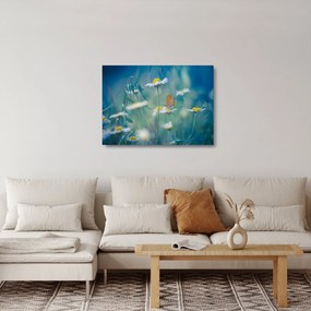 Sklenený obraz - Motýľ na sedmokráske (70x50 cm)